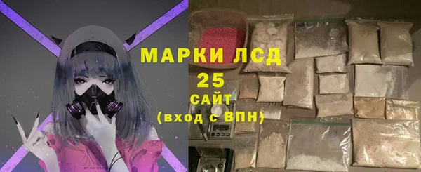 spice Новодвинск