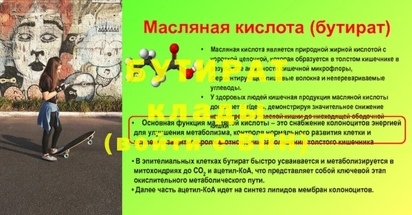 spice Новодвинск