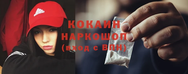 spice Новодвинск