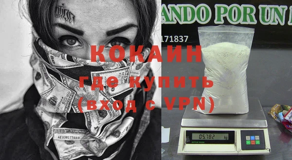 твердый Новокубанск