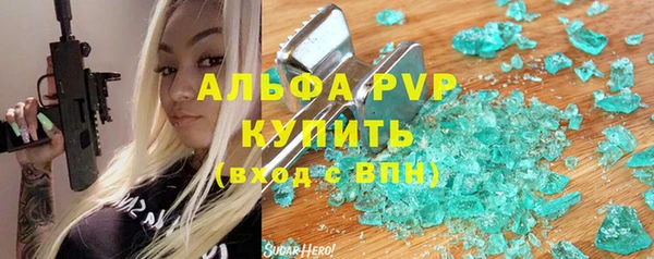 spice Новодвинск