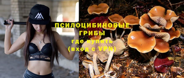 твердый Новокубанск