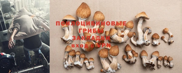 твердый Нефтегорск