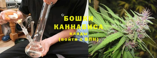 spice Новодвинск