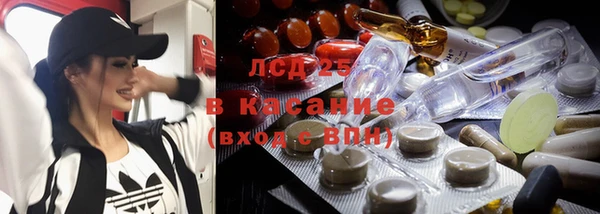 spice Новодвинск