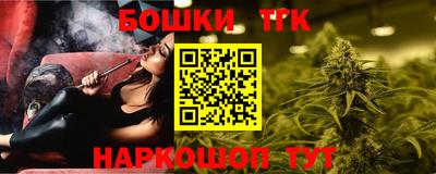spice Гатчина