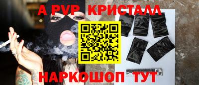 spice Гатчина