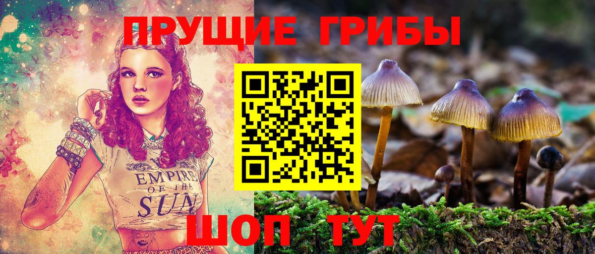 Псилоцибиновые грибы Magic Shrooms  Вход с VPN  Псилоцибиновые грибы Cubensis  Златоуст 