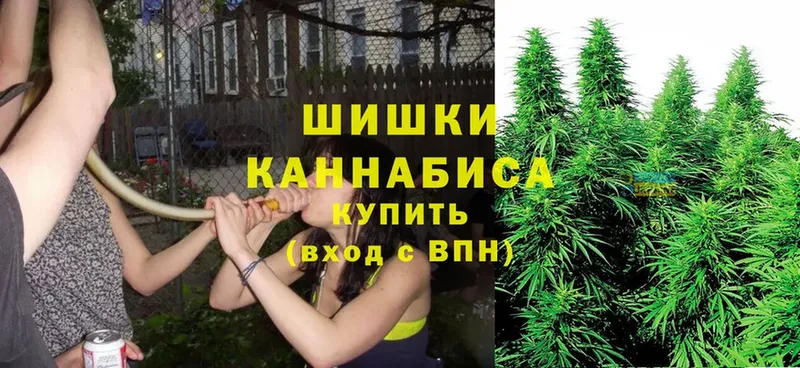 как найти наркотики  Златоуст  Шишки марихуана VHQ 